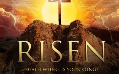 Ready… Steady… Go!